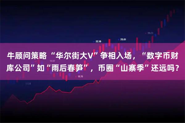 牛顾问策略 “华尔街大V”争相入场，“数字币财库公司”如“雨后春笋”，币圈“山寨季”还远吗？
