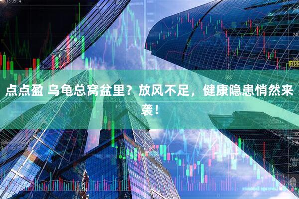 点点盈 乌龟总窝盆里？放风不足，健康隐患悄然来袭！
