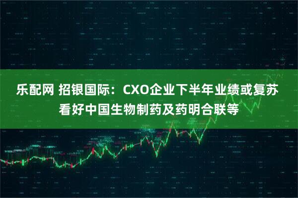 乐配网 招银国际：CXO企业下半年业绩或复苏 看好中国生物制药及药明合联等